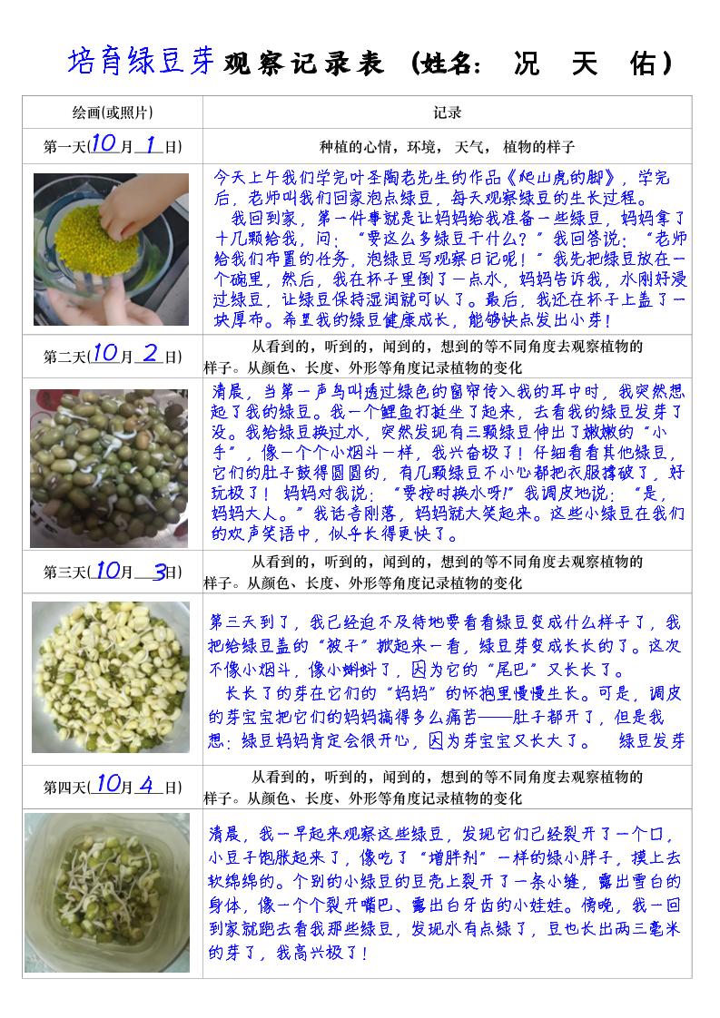 四上语文习作三：培育绿豆芽观察日记2《写观察日记》4页-伏羲SAAS