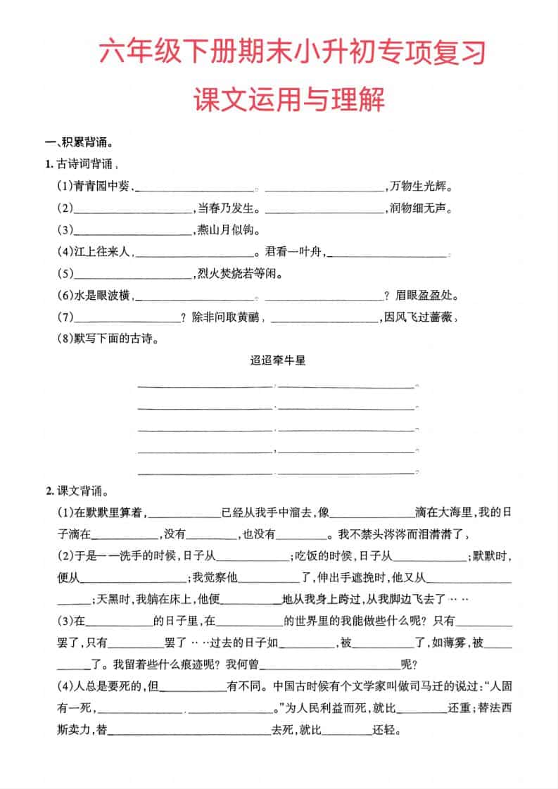 六年级下语文小升初课文运用与理解专项练习-伏羲SAAS