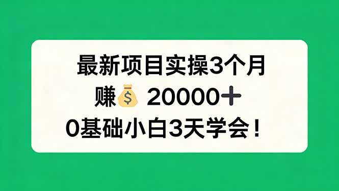 最新项目实操3个月，赚钱20000+，0基础小白3天学会！-伏羲SAAS