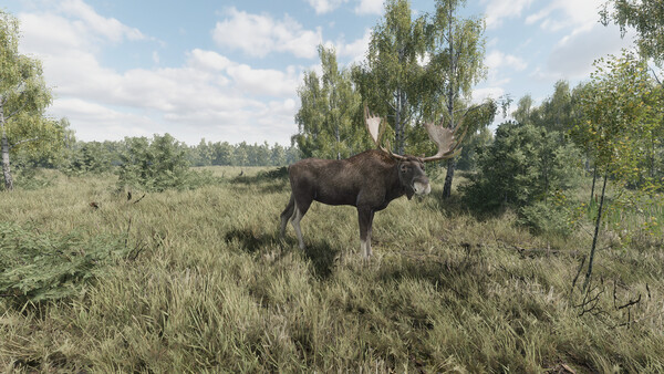 《猎捕行动/On the Hunt》PC中文版下载-含Build.20557498-伏羲SAAS