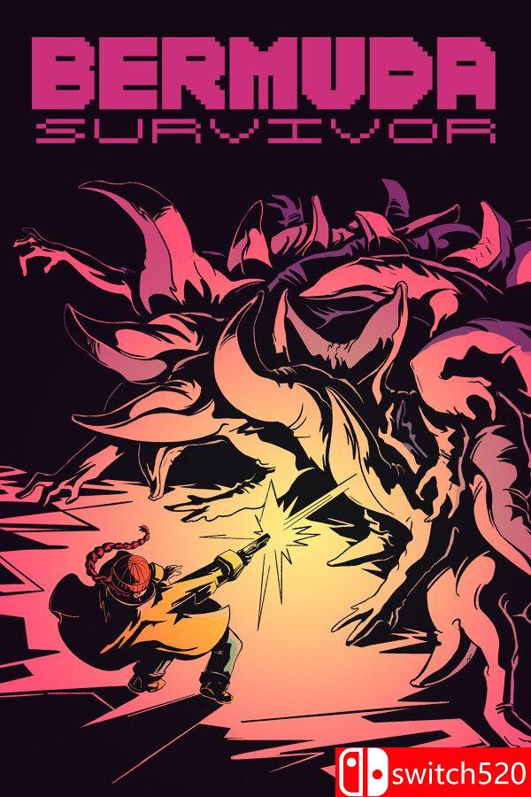 《百慕大幸存者（Bermuda Survivor）》官方中文 Build 20494698 [中文/英文/日语]-伏羲SAAS