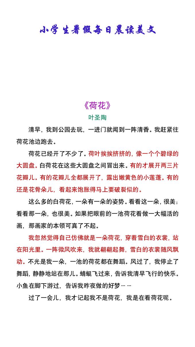 小学生暑假每日晨读美文：叶圣陶《荷花》-小升初语文-伏羲SAAS