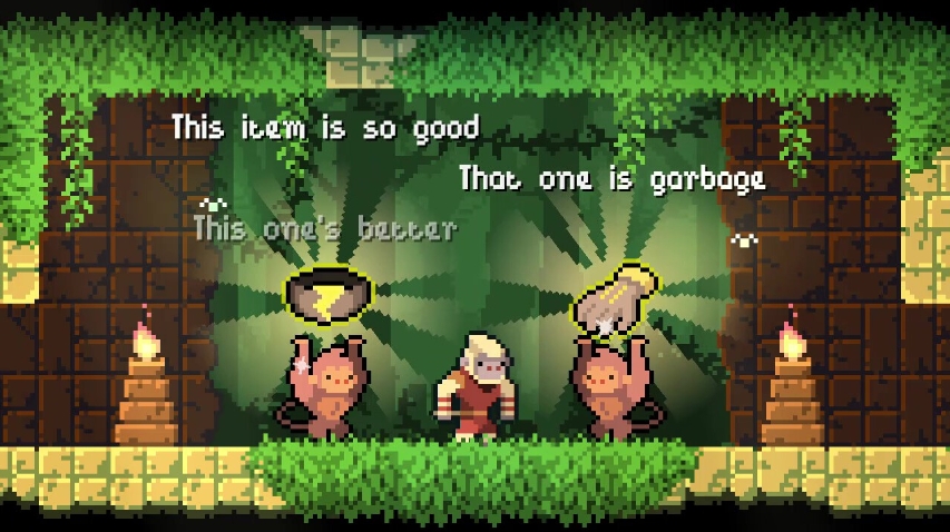 PC游戏《护林猿神 Dunjungle》中文+v1.0正式版-伏羲SAAS