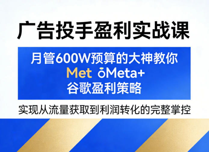 广告投手盈利实战课，月管600W预算的大神教你Meta+谷歌盈利策略，实现从流量获取到利润转化的完整掌控-伏羲SAAS