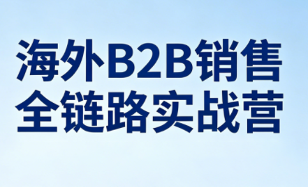 雨哥·海外B2B销售全链路实战营-伏羲SAAS