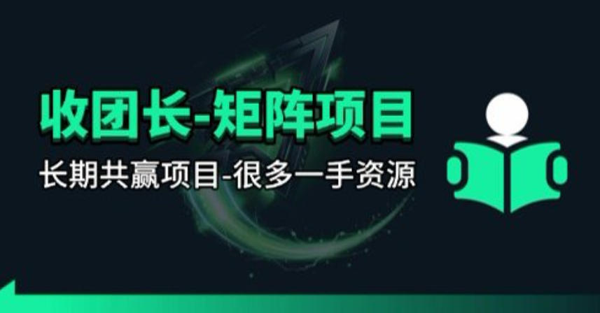 【团长合作】视频矩阵项目_招发手矩阵+剪辑师,共赢项目【揭秘】-伏羲SAAS