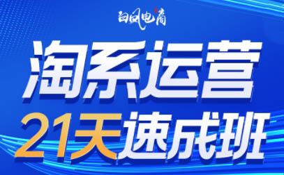 白凤电商·淘系运营21天速成班(更新4月)-伏羲SAAS