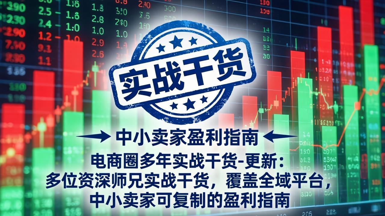 电商圈多年实战干货-更新5月10：多位资深师兄实战干货/覆盖全域平台，中小卖家可复制的盈利指南-伏羲SAAS