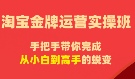 飓风电商·淘宝金牌运营实操班-伏羲SAAS