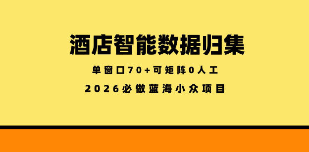 酒店智能数据归集,小众蓝海已经稳定半年之久,单窗口70+零成本矩阵开干【揭秘】-伏羲SAAS