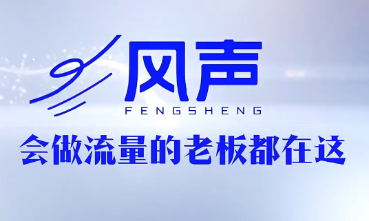 董十一·风声短视频AI获客年度会员-伏羲SAAS
