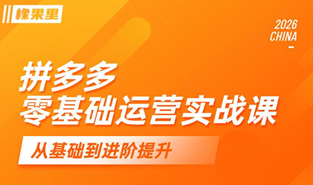 仙道电商·拼多多零基础运营实战课-伏羲SAAS