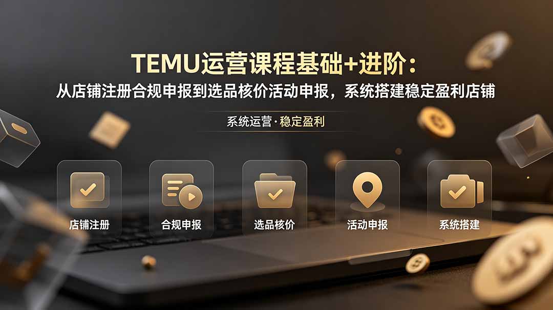 TEMU运营课程(基础+进阶-伏羲SAAS