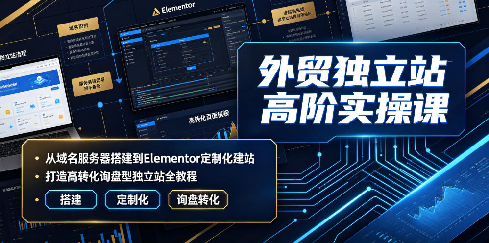 外贸独立站高阶实操课|从域名服务器搭建到Elementor定制化建站,打造高转化询盘型独立站全教程-伏羲SAAS