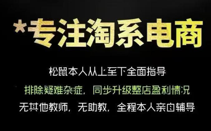 松鼠会电商VIP课程,从基础布局到高阶优化,助你掌握淘宝运营逻辑,提升店铺流量与转化(更新0711)-伏羲SAAS